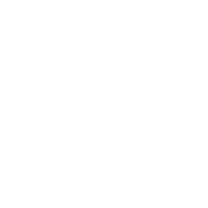 Communicatiebureau Kortrijk - Mioo Design - Klant Logo Aniwayz - West-Vlaanderen